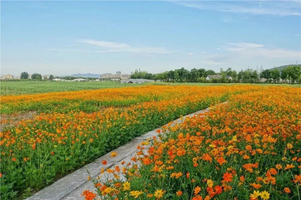 1725945342989755.jpg 1-231030133315130.jpg