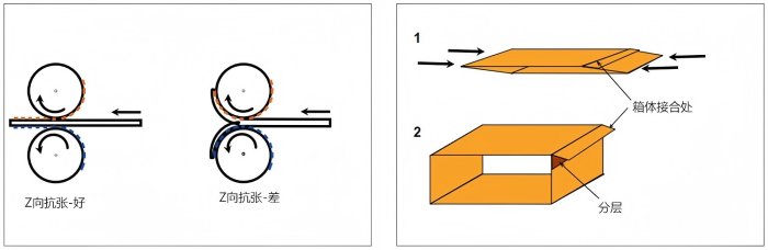 1752826648709568.jpg 圖片4.jpg